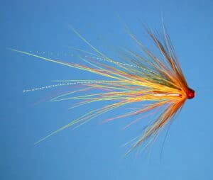 Yelly Belly Scottish Shrimp tube fly with brown hackle